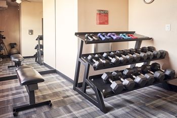 a variety of weights in the weight room